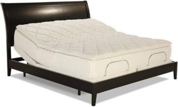Chandler Adjustable Beds