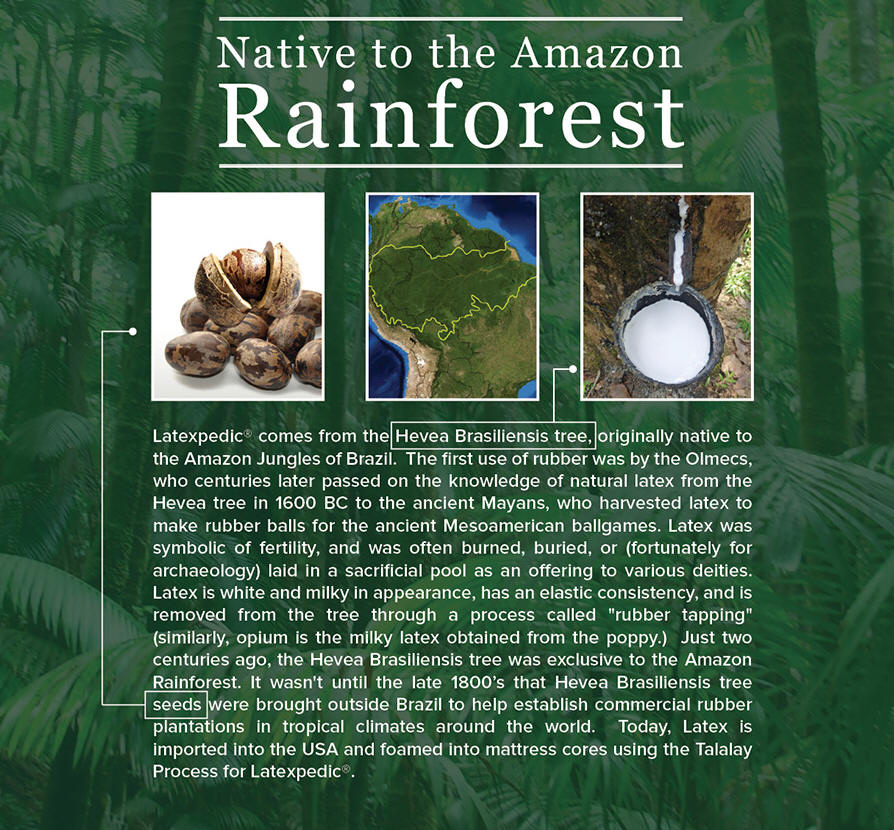 Phoenix AZ Latex Mattress Store